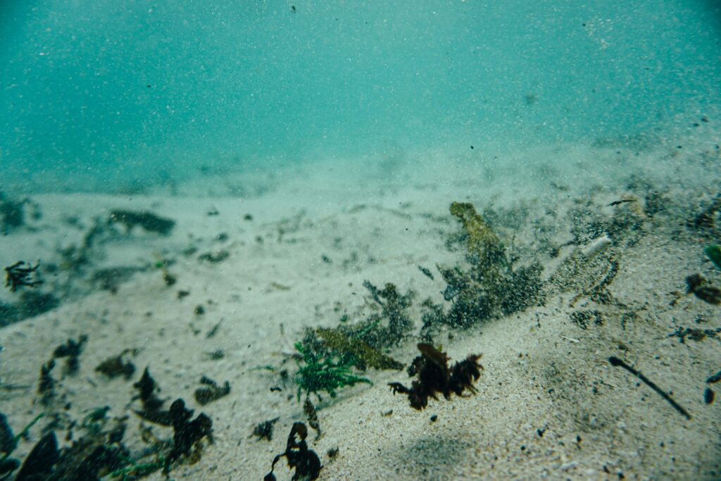 Transparent clear azure water of tropical sea with seaweed and sandy underwater bottom