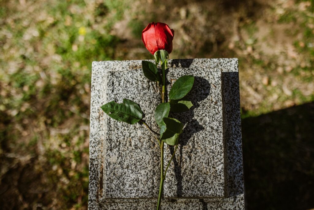 A poignant image showcasing a red rose on a tombstone in a sunlit cemetery, symbolizing love and remembrance.