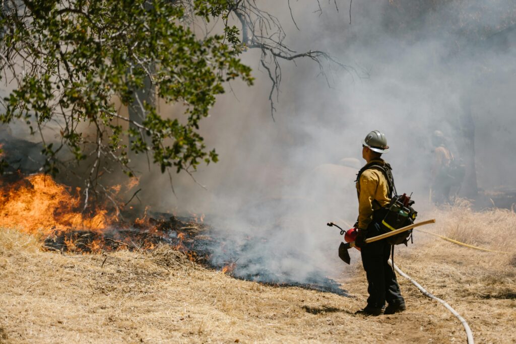 Firefighter in protective gear tackling a forest wildfire with smoke and flames in daylight.